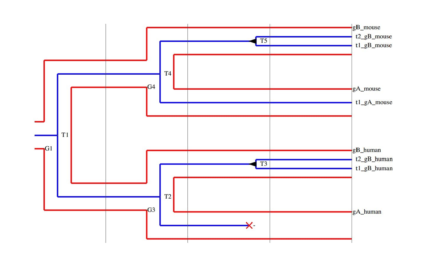 Phylogenetic Tree Reconciliation