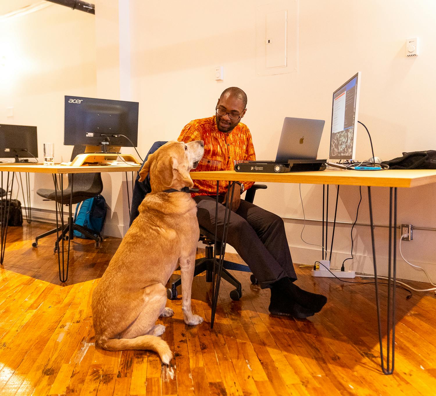 plotly man working at desk on computer dog sitting on floor