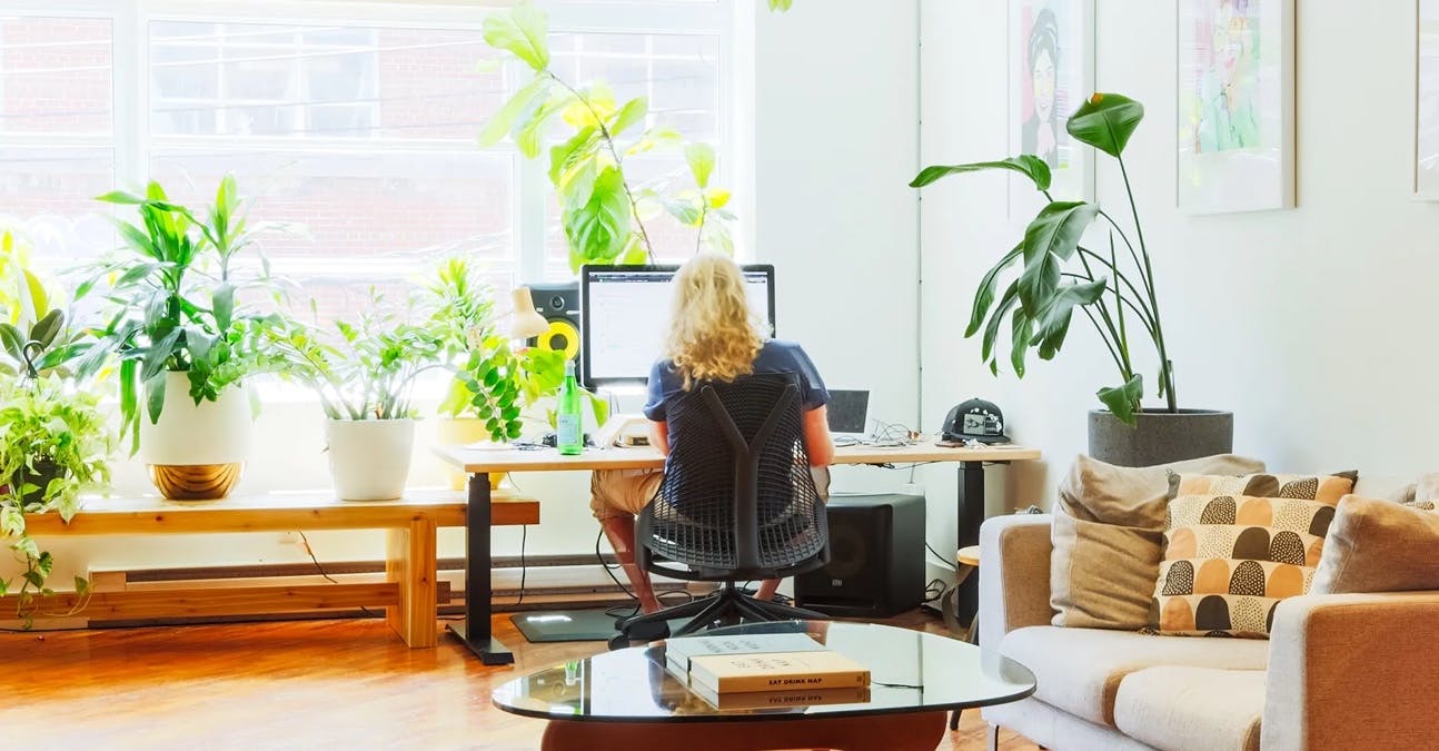 man in an office typing at desk with plants