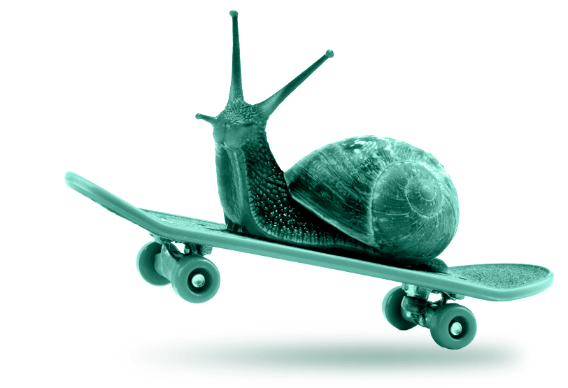 snail on skateboard doing pop wheely
