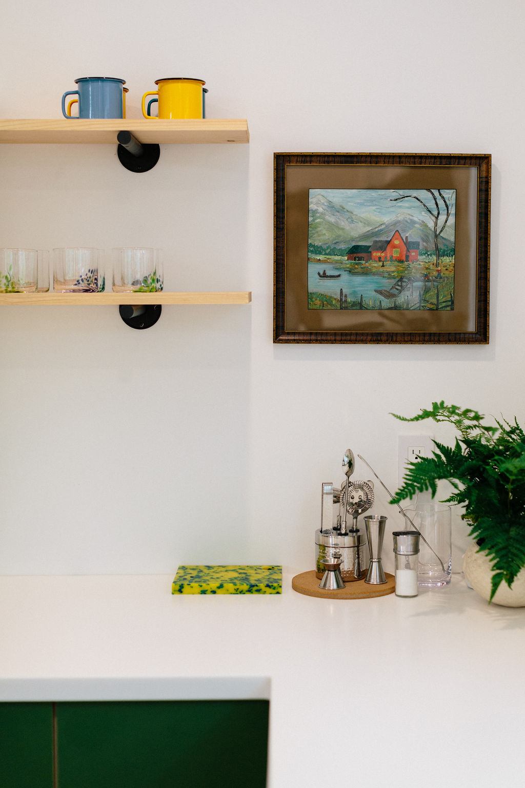 Plykea Formica Algae fronts