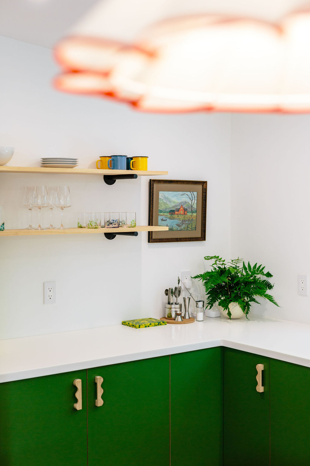 Plykea Formica Algae fronts