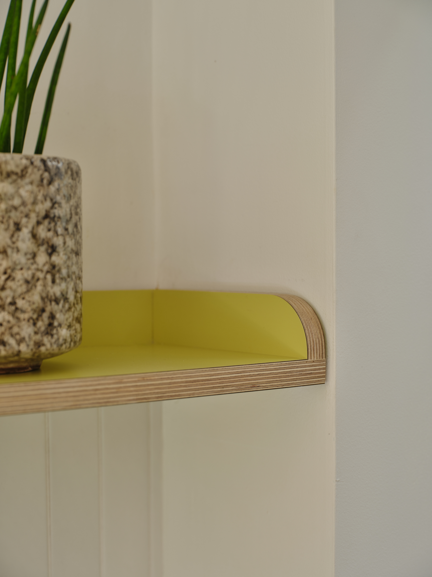 Plykea Formica Wasabi birch plywood kitchen shelf