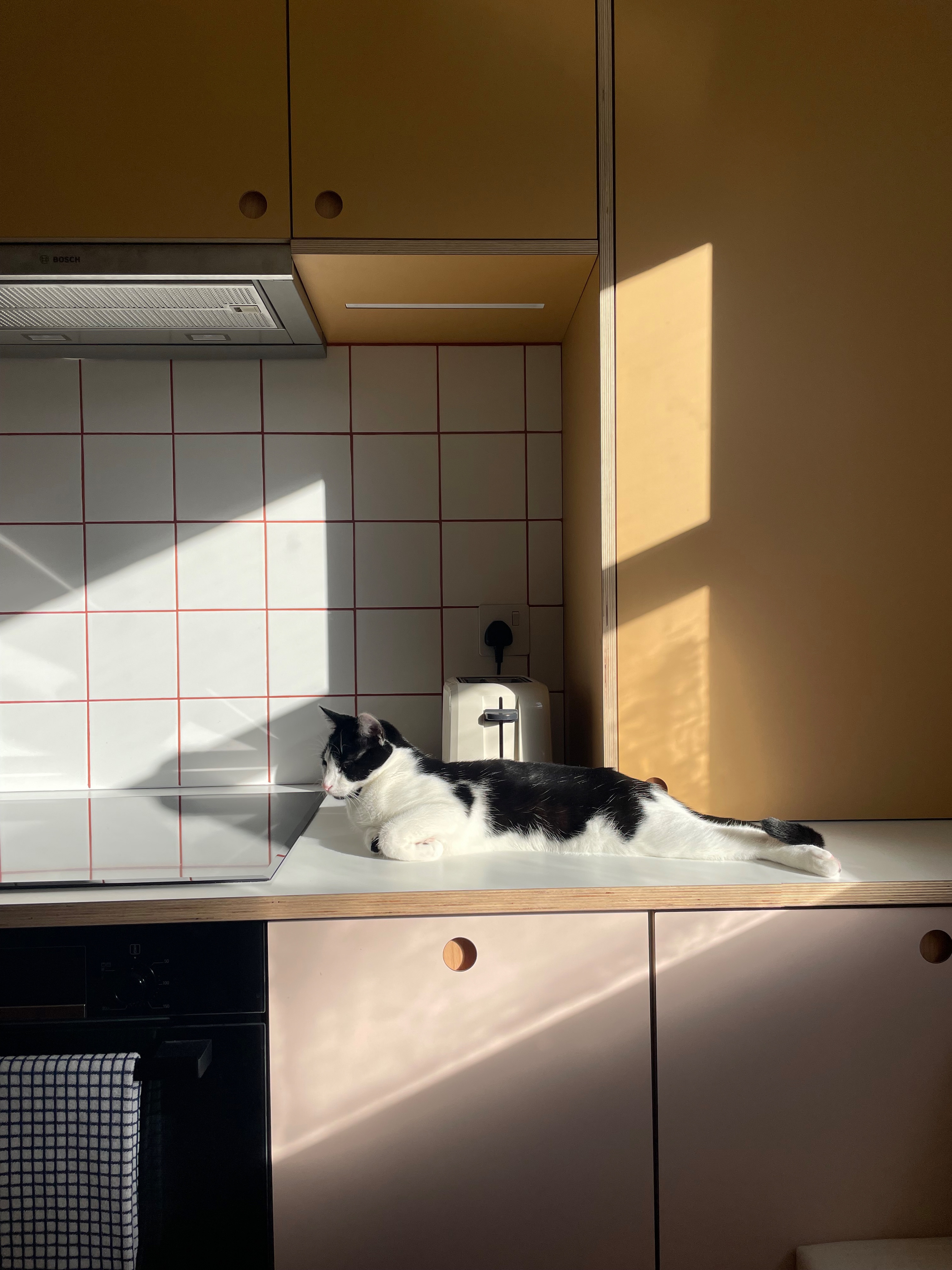 Plykea plywood kitchen fronts