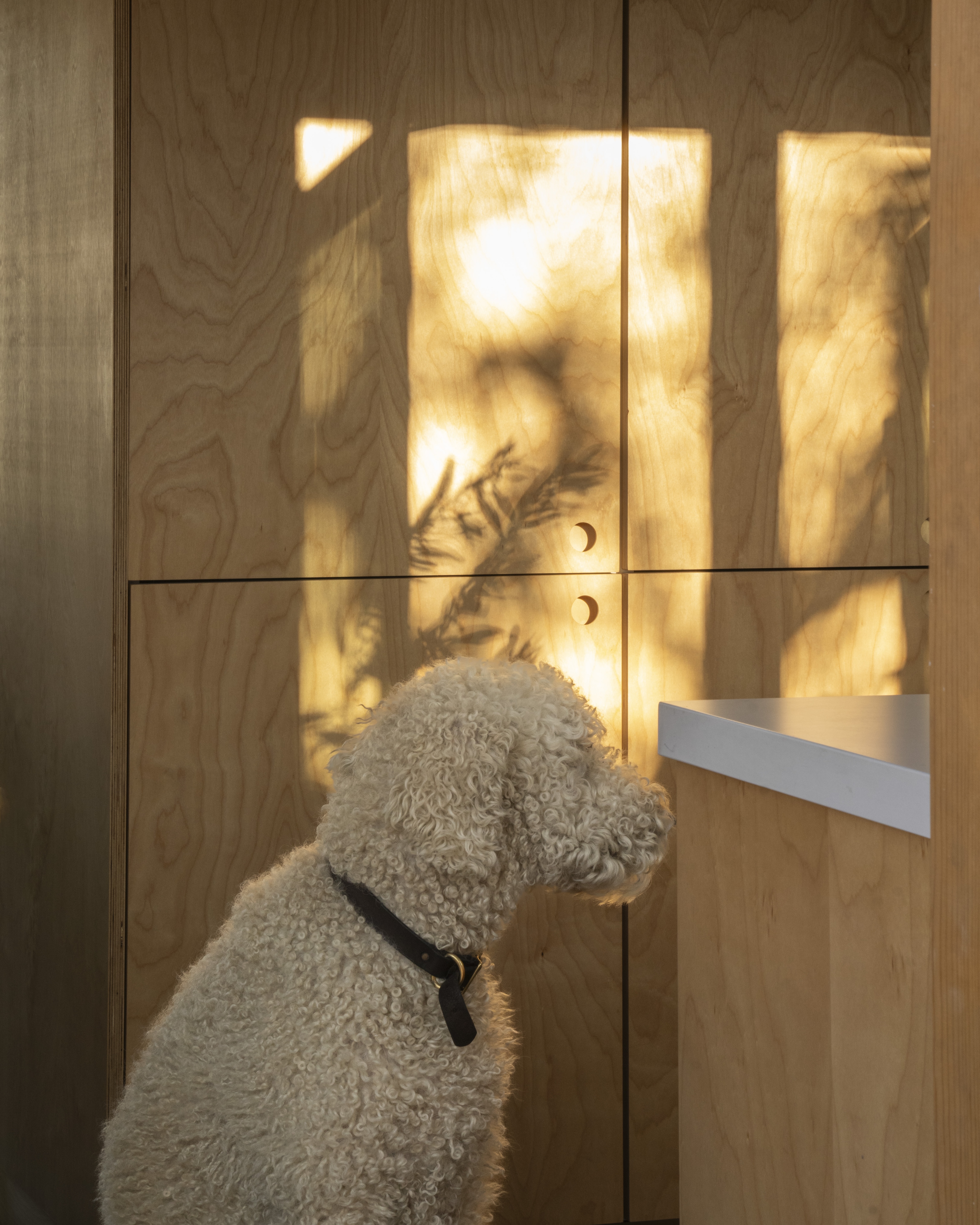 Plykea birch plywood fronts with circular handles 