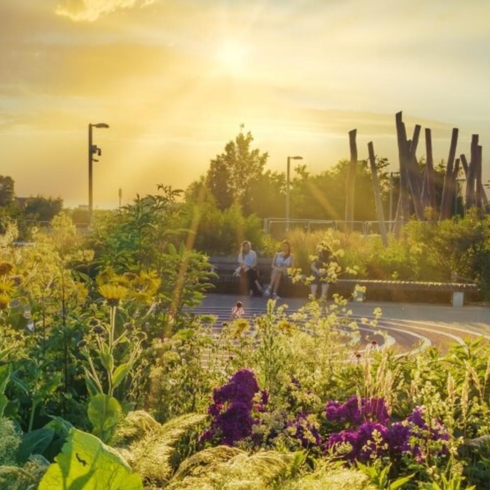 Queen Elizabeth Olympic Park gardens