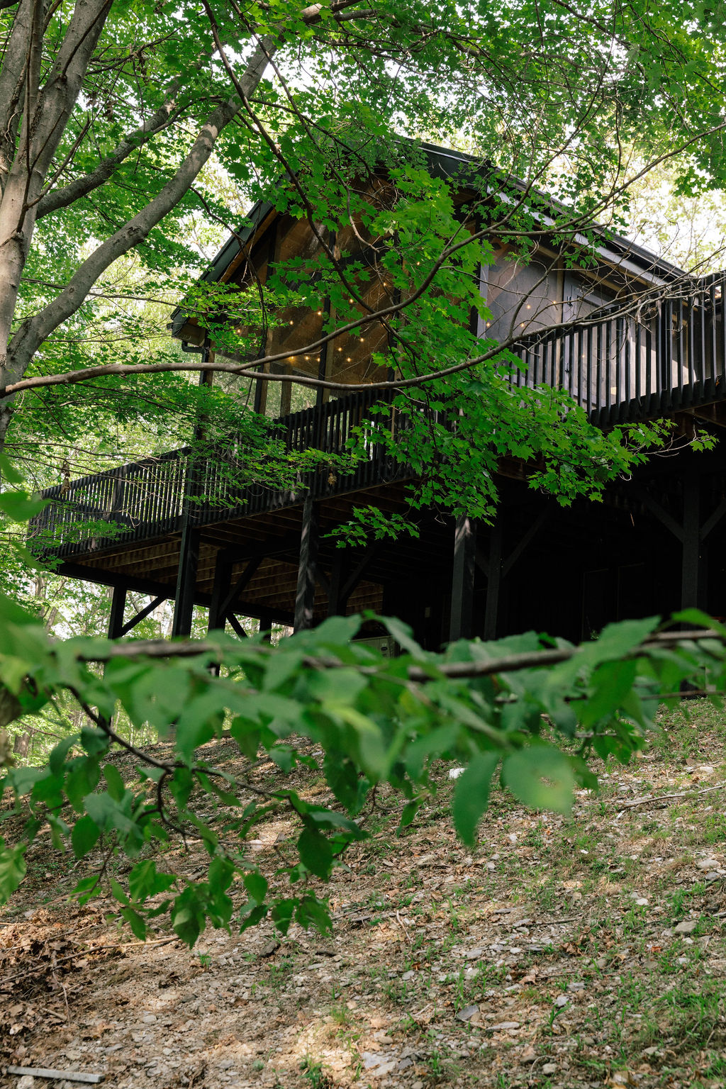 Olive Pit exterior view