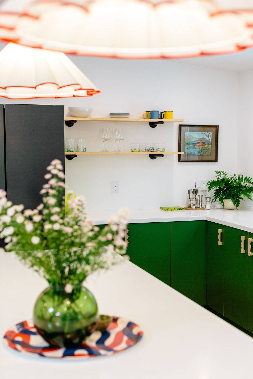 Plykea Formica Algae fronts