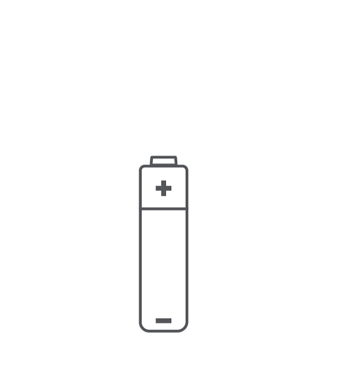 AA Battery
