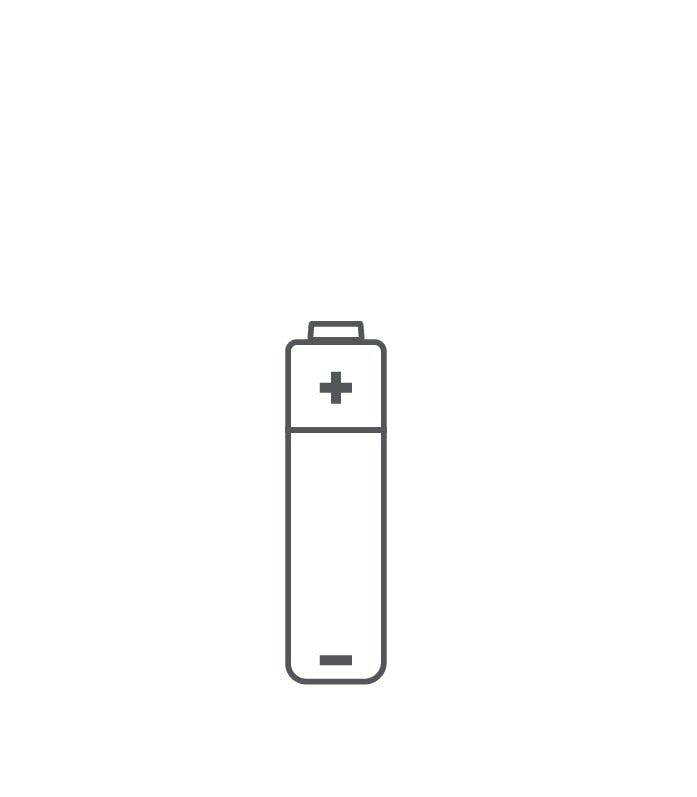 AA Battery