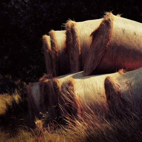 MDgxZjRlYTMtZDgzNi00NzkzLWIyNjQtNDRkMDlhZTRkNTZm materiauxecologique 4