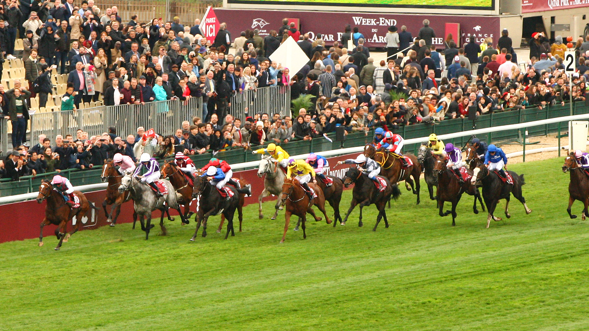 Hippodrome longchamp discount calendrier courses 2023