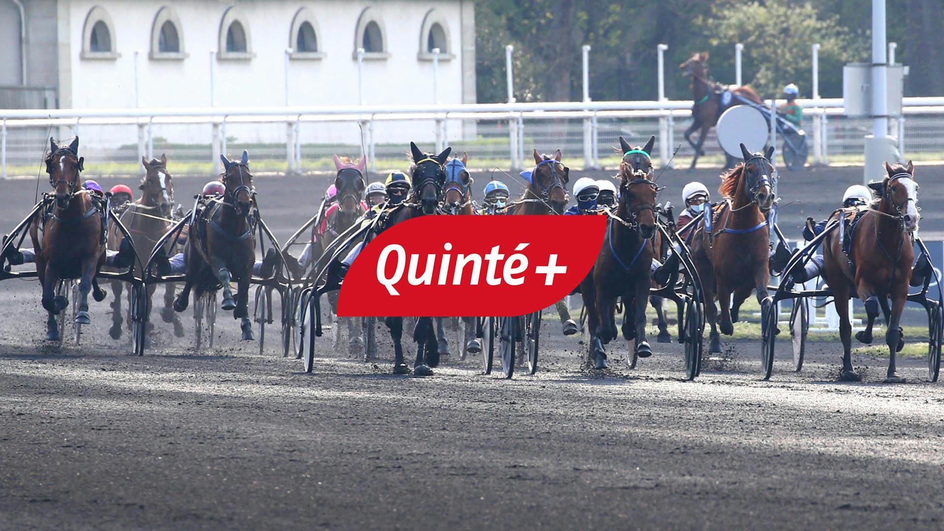 Analyse du Quinté+ du jour