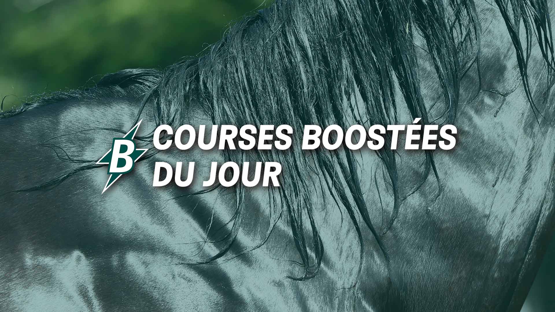 PMU Point De Vente : Turf, Programme Des Courses Du Jour, Actualité ...