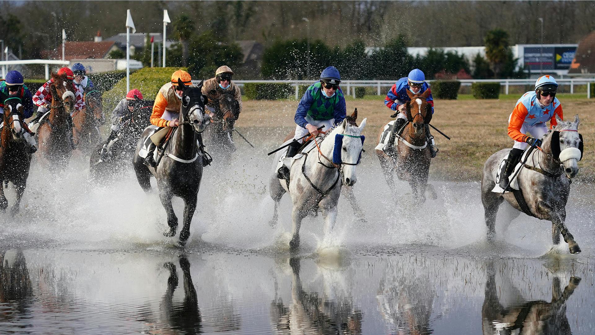 Hippodrome de Pau caractéristiques, accès, infos pratiques