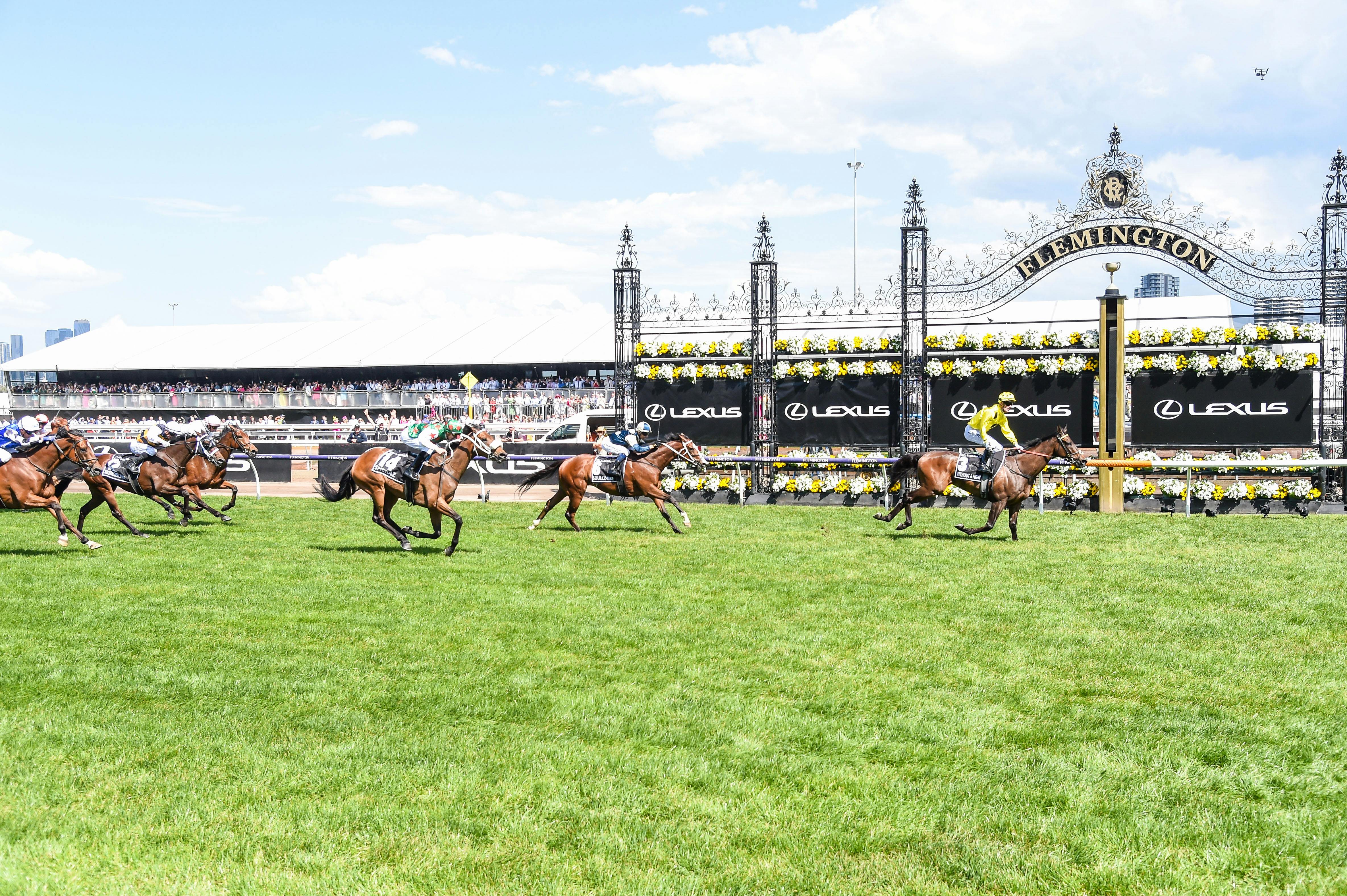 La Melbourne Cup 2024 à Flemington