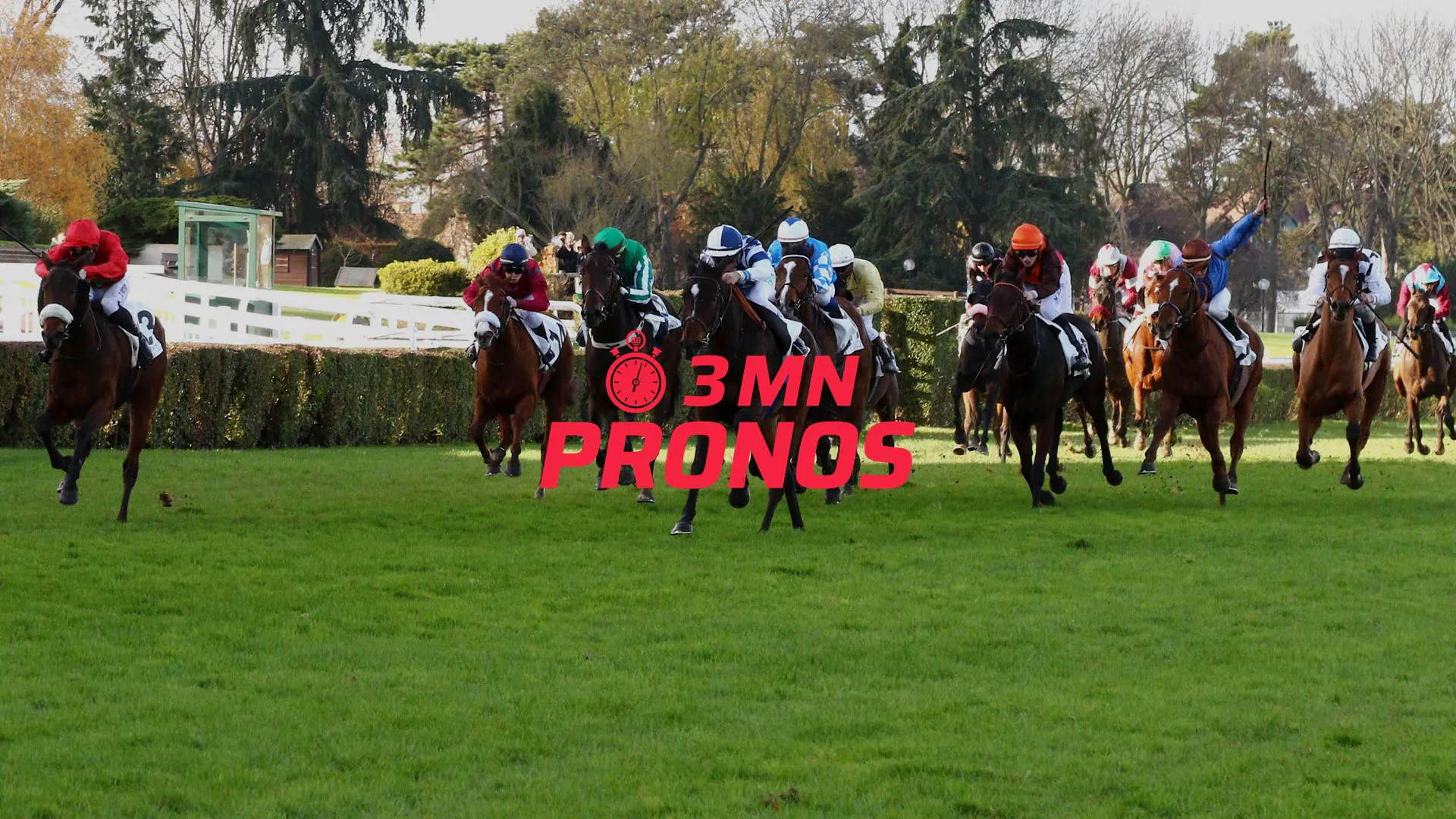 Rapport Quinte Champ Reduit 3 Chevaux De Base