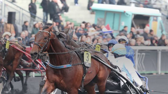Gently de Muze et Jean-Michel Bazire, lauréats de la finale 2022 à Vincennes. 