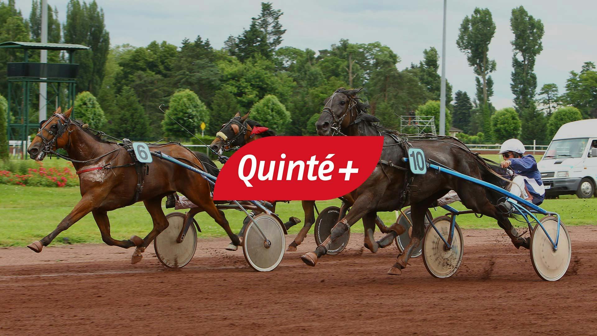 Pronostic du Quinté+ du jour