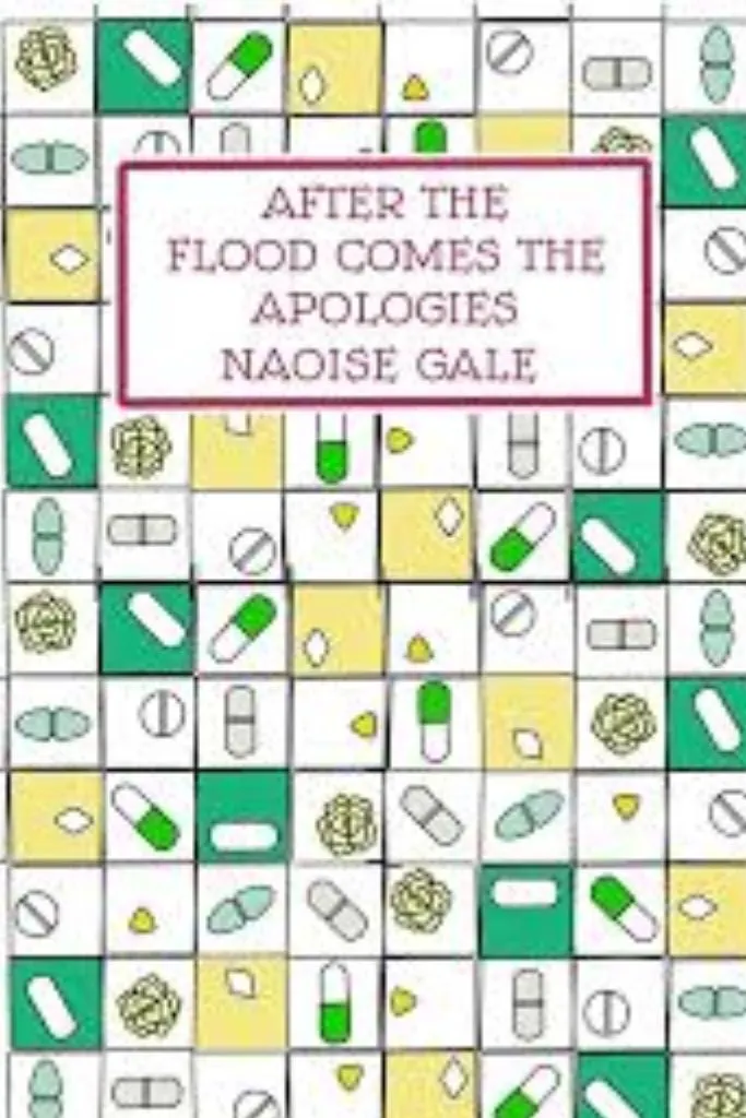 After The Flood Comes The Apologies by Naoise Gale