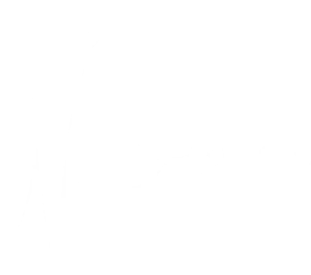 Logo Novo Guitars