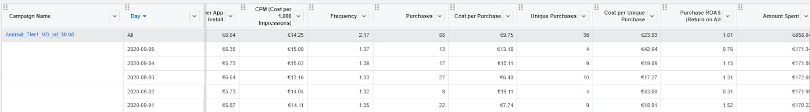 Facebook campaign metrics, two