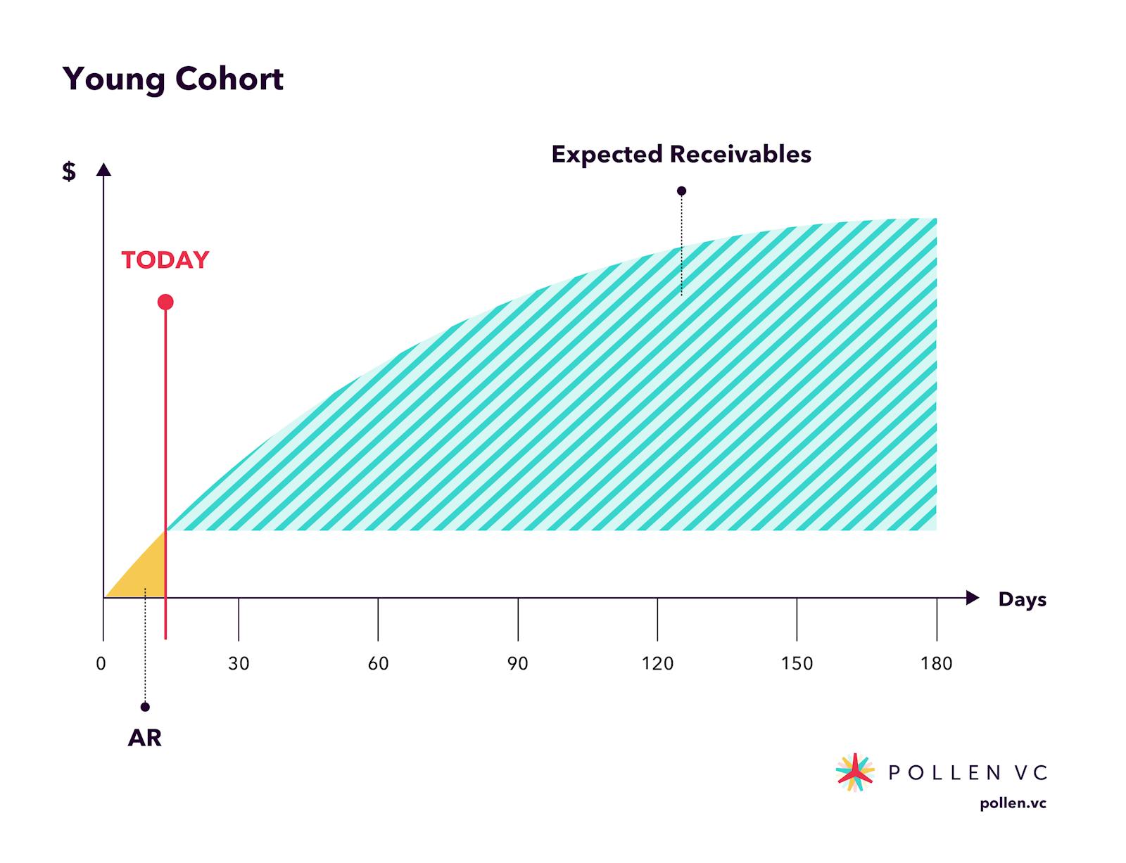 Screenshot of Pollen VC young cohort