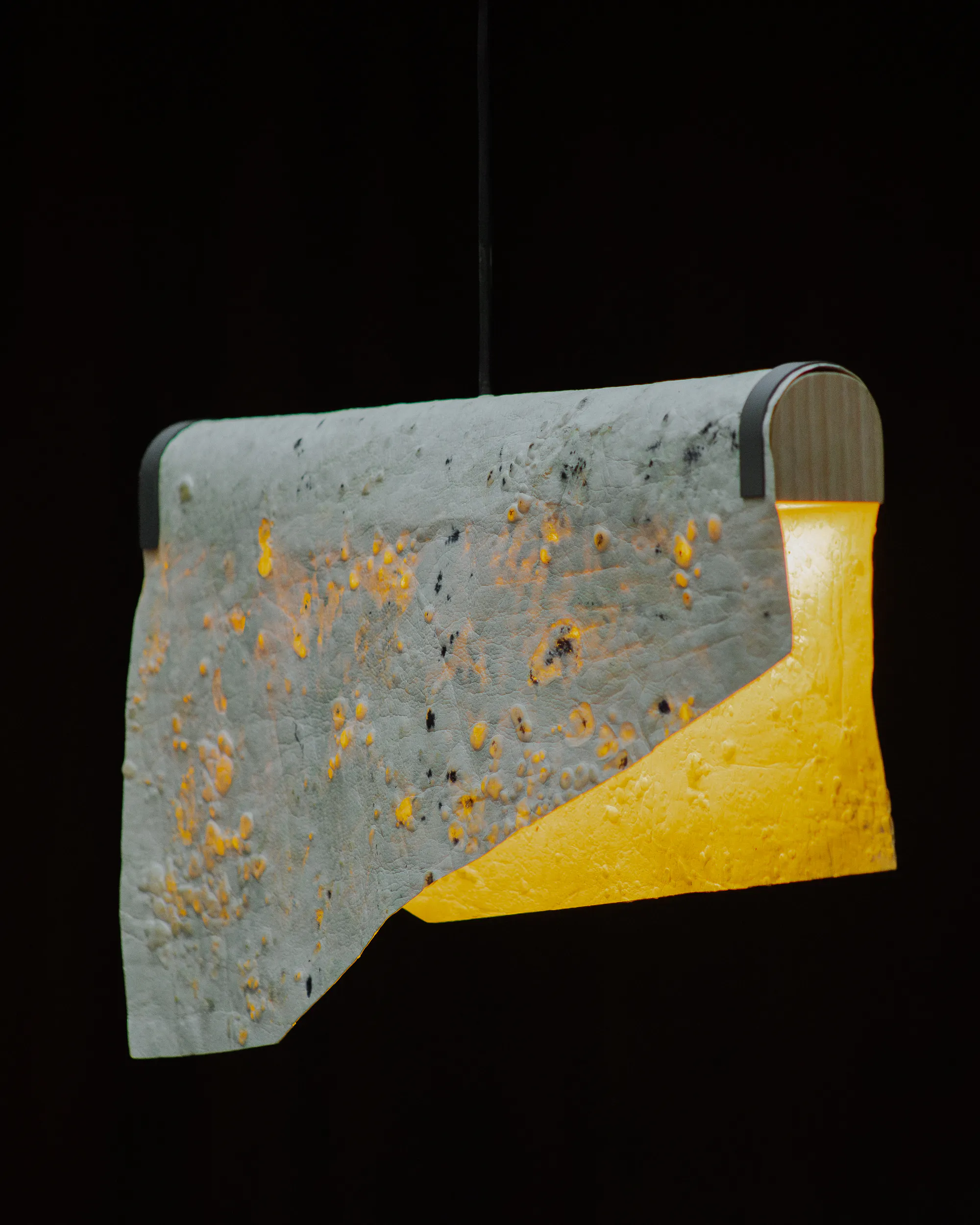 Natural Urbano and Polybion™ present a new Made with Celium™ Edition of Lomo, a suspended lighting piece from Natural Urbano’s Legacy Collection. The project marks the third collaboration between the two companies in less than a year, continuing their exploration of cultured cellulose through design.