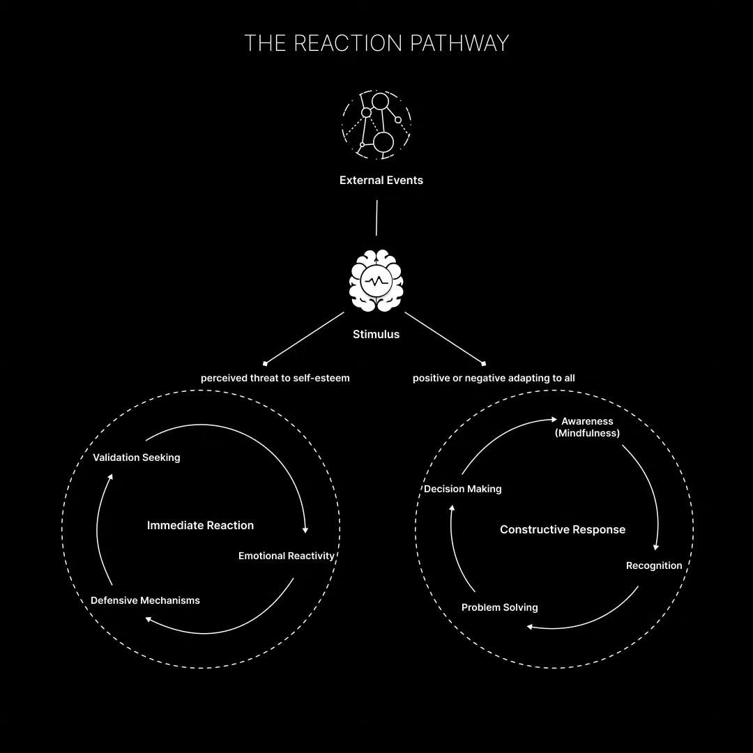 Flow of reaction pathway