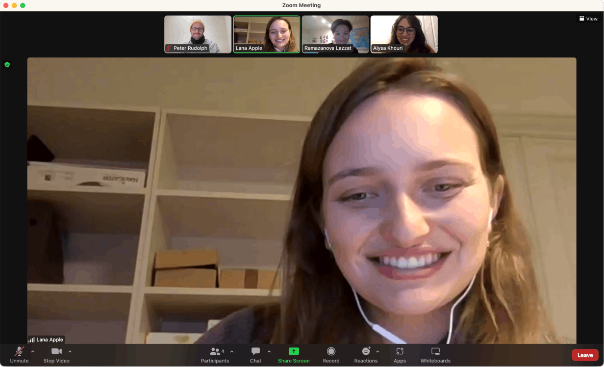 A screenshot of a team video call