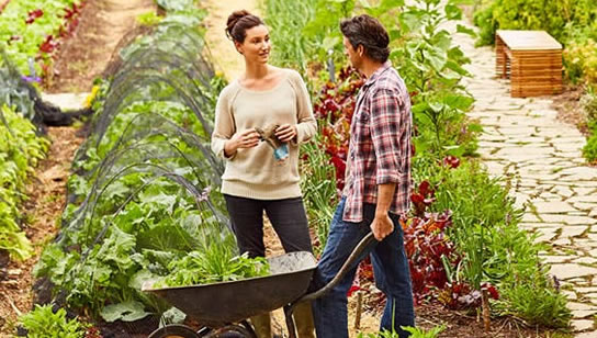 Épargne solidaire&nbsp;: comment faire un don avec le livret de développement durable&nbsp;?