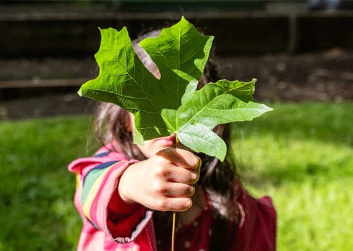 Journée mondiale de l'environnement