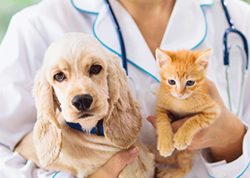 LCL et Crédit Agricole Centre France accompagnent le Groupe Neftys Pharma dans le franchissement d’une nouvelle étape