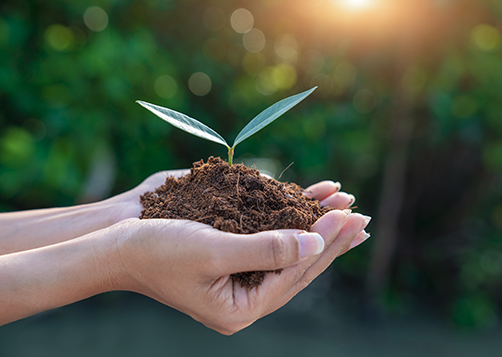 L’investissement durable et responsable : une réponse possible à la crise sanitaire : LCL Banque Privée