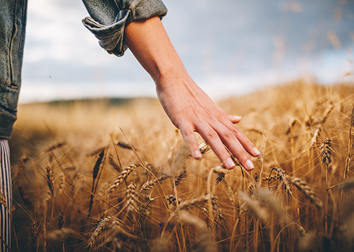 Comprendre pour s’engager&nbsp;: Lexique - LCL Banque Privée