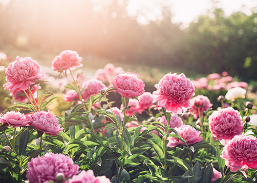 Qu'est-ce que l’investissement responsable ? LCL Banque et Assurance