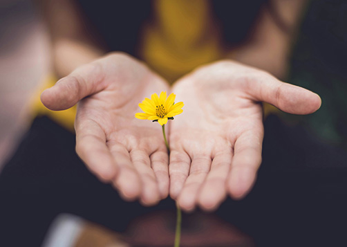 Réduction d’impôt pour don : un bonus plus généreux en 2025