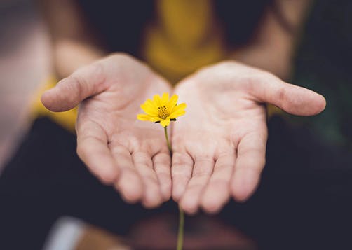 Réduction d’impôt pour don : un bonus plus généreux en 2025