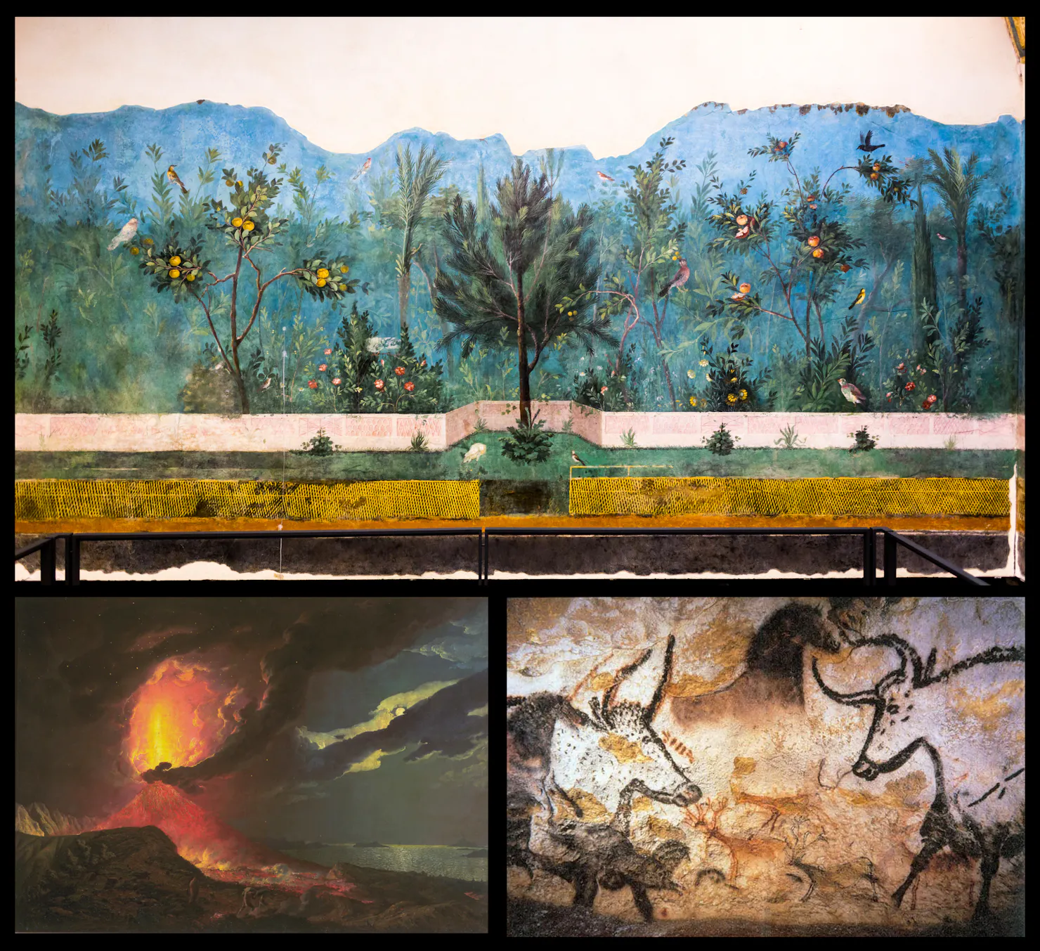 Bringing Nature Home - Science - Portal