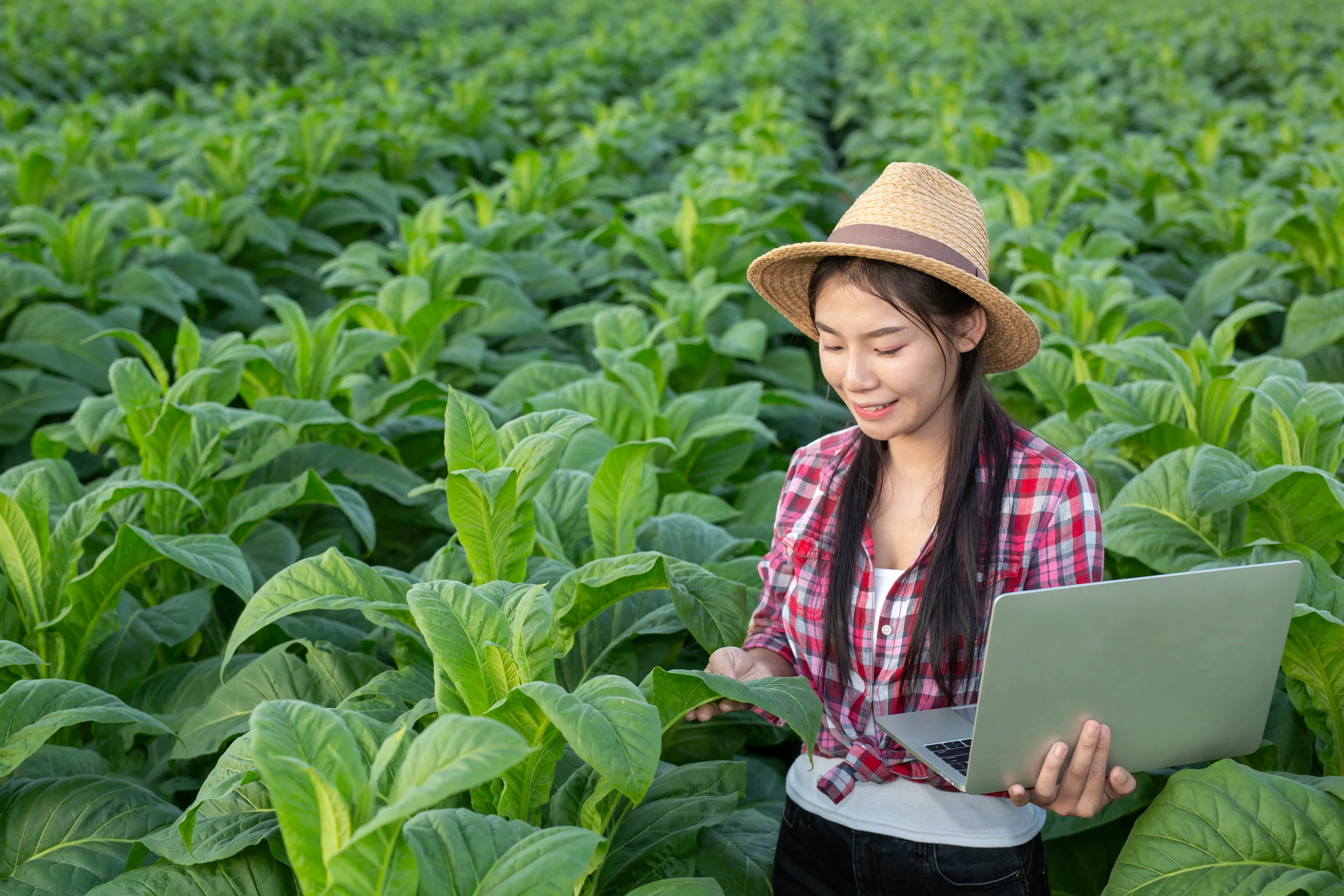 Mulher com notebook em plantação.