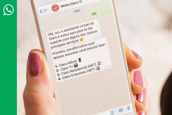 Chat Claro