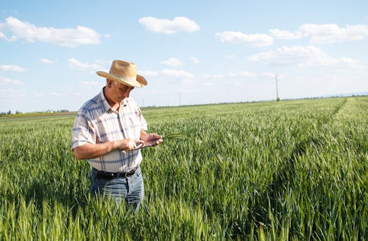 Internet rural: quais operadoras contam com opções?