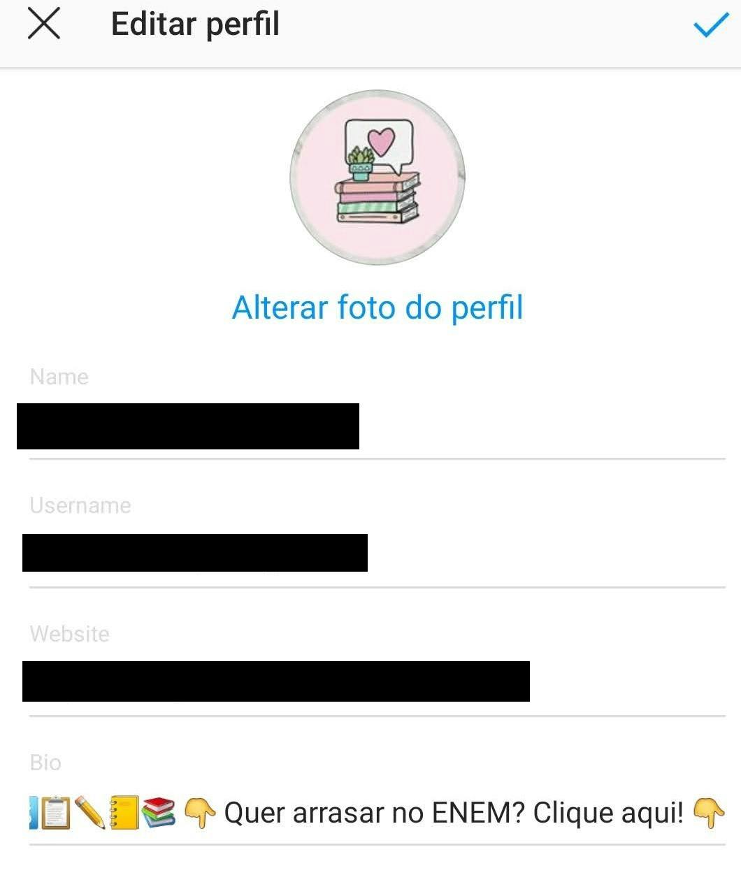 Bio do Instagram
