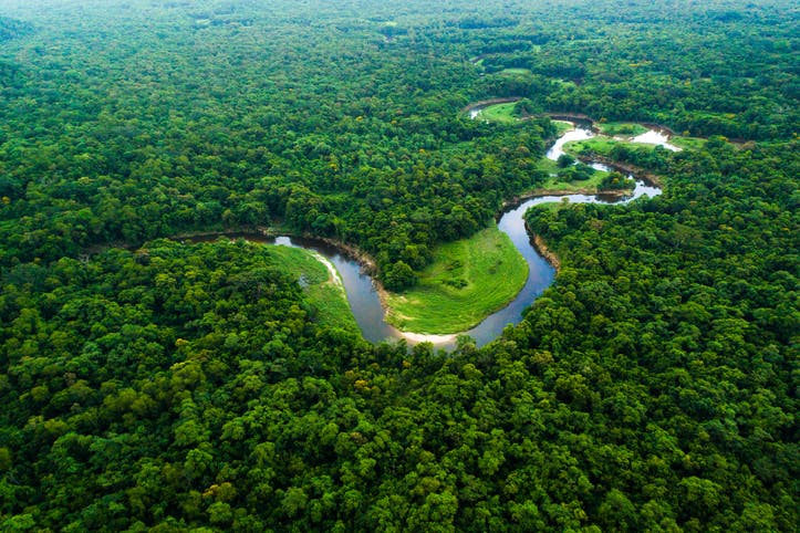 vista de paisagem de rio no Amazonas