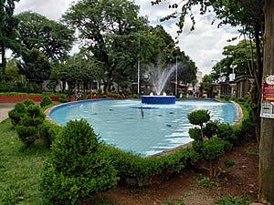 poa, praca da biblia