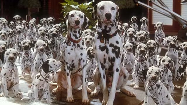 101-dalmatas