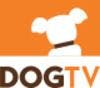 ícone dogtv
