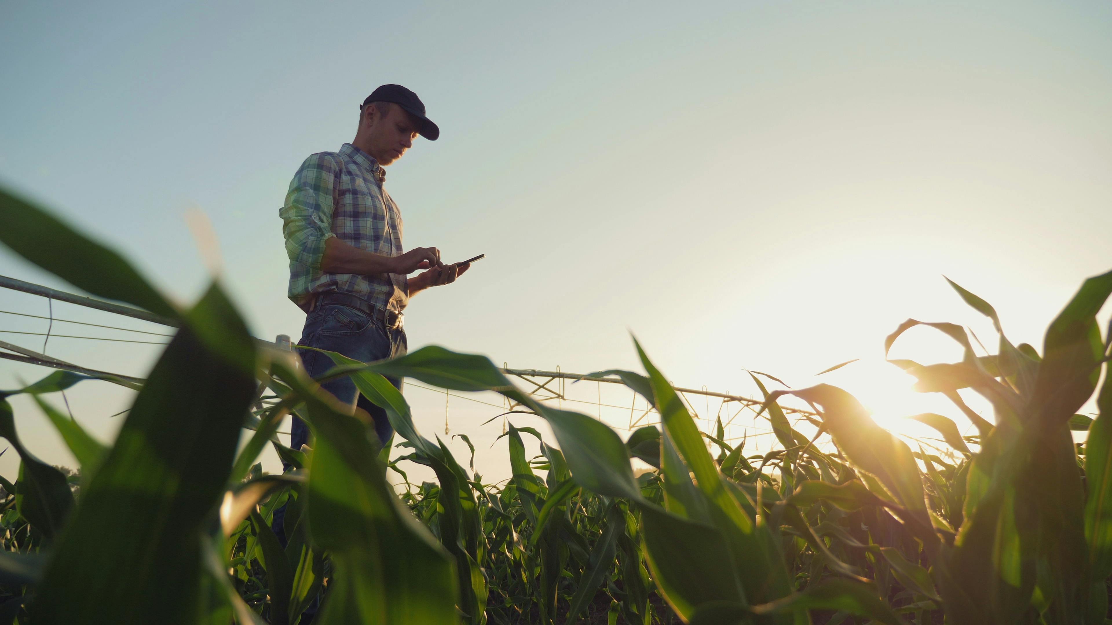 Homem digitando em celular em campo rural.