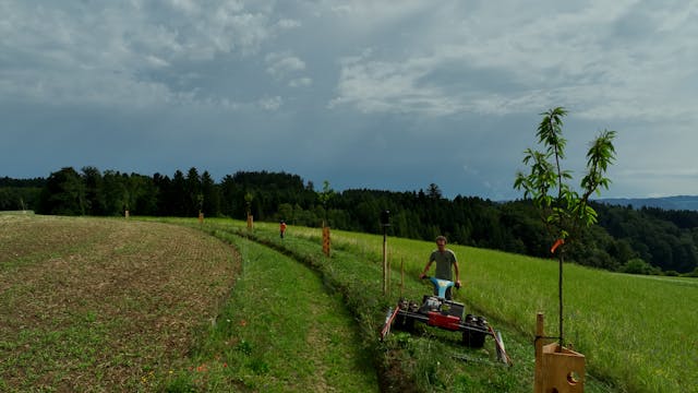 Markus Schwegler mows along the Keyline in the Katzhof field.