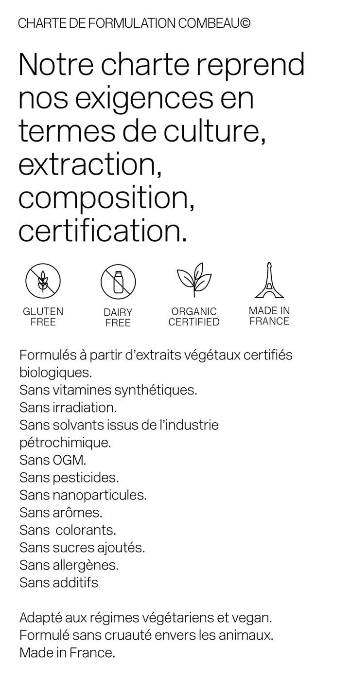 Combeau mobile mock up